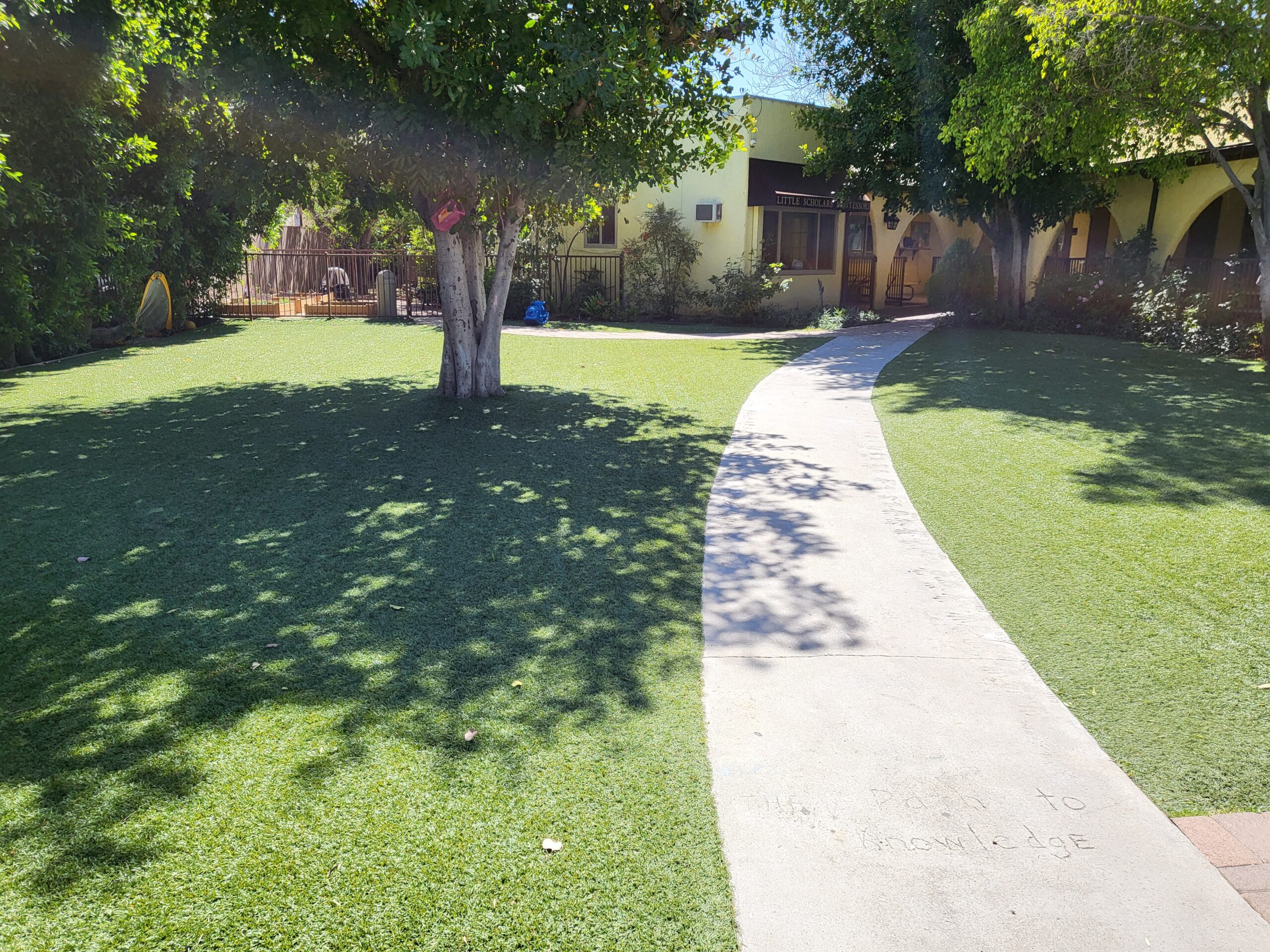 A sidewalk extends towards a grassy area, bordered by a tree, inviting a serene outdoor experience.